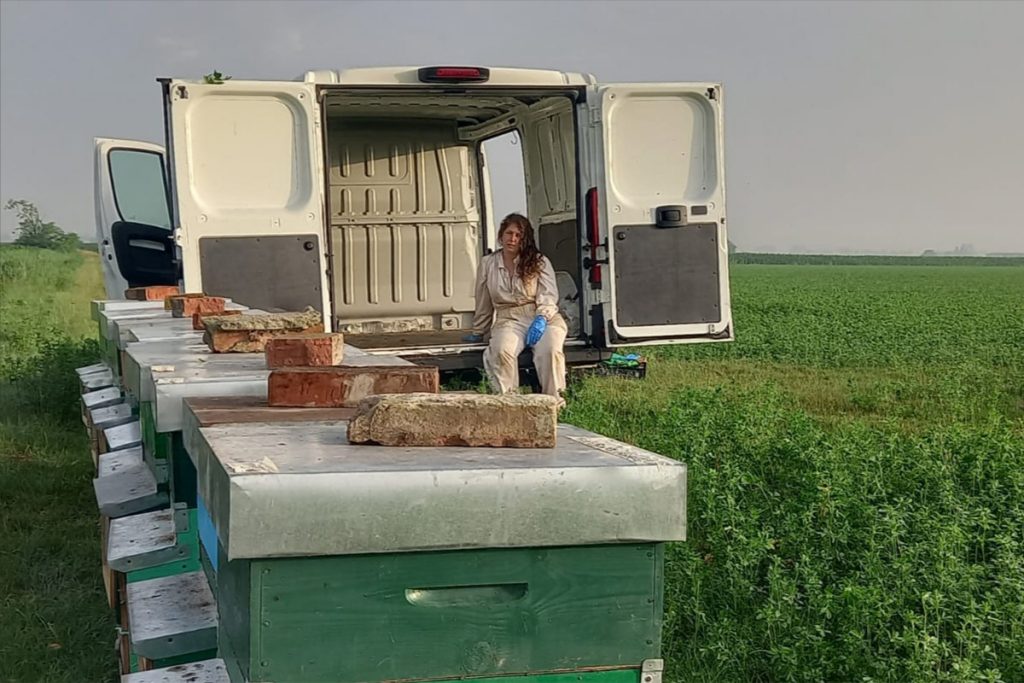 foto-azienda-agricola-ambra-grossi-1