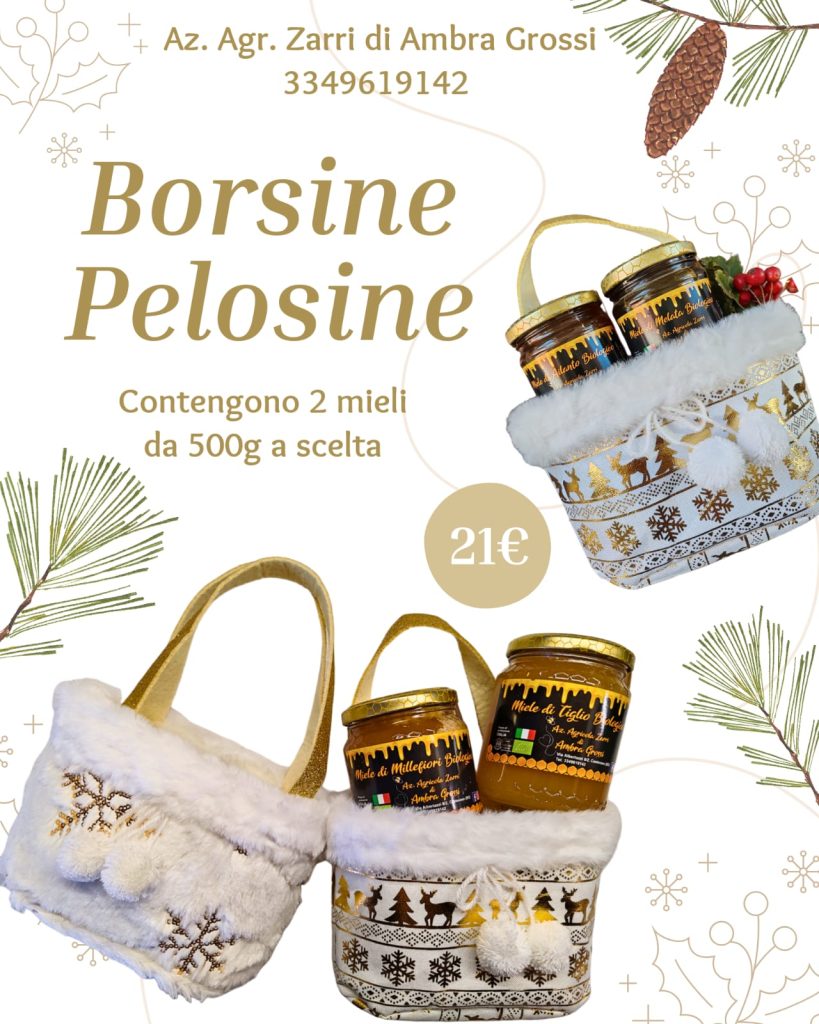 Immagine WhatsApp 2024-11-19 ore 10.06.51_03658442