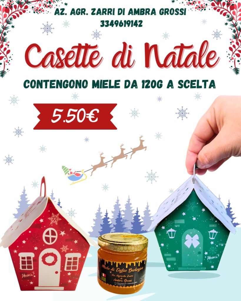 Immagine WhatsApp 2024-11-19 ore 10.06.51_740f1910